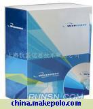 【Websense系列產品網絡工具軟件 (圖)】價格,廠家,圖片,網絡工具軟件,上海軟盛信息技術-