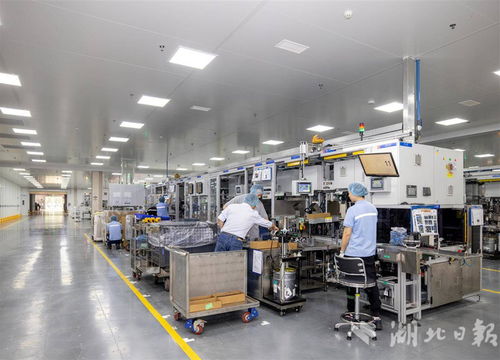 世界500強(qiáng)采埃孚五年三度追投，武漢成其軟件戰(zhàn)略布局核心